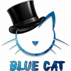 Copy Cat - Blue Cat tiiviste