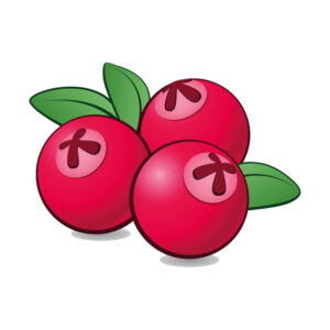 Molinberry / Super Aroma- Cranberry 10ml