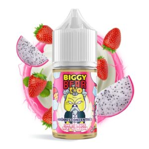 Biggy Bear - Strawberry Sorbet Dragon Fruit
