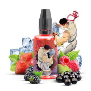 Fighter Fuel - Seiryuto